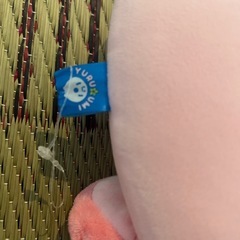 ゆる海 もちっこドーナツ ウーパールーパー ピンクの画像