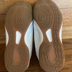 ルースイソンブラフットサルシューズ20cm　　の画像