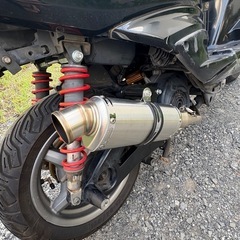 シグナス　2型　台湾の画像