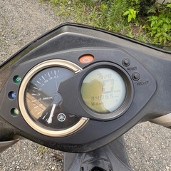 シグナス　2型　台湾の画像