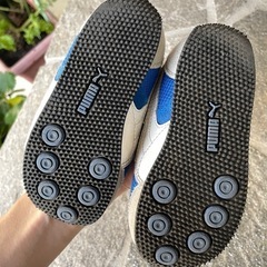 プーマの画像