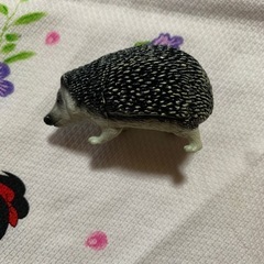 フィギュアの画像