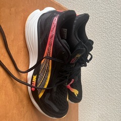 ランニングシューズ　プーマベロシティニトロ3の画像