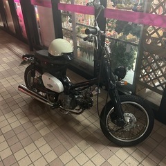 リトルカブ