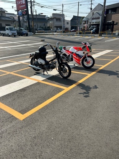 リトルカブ