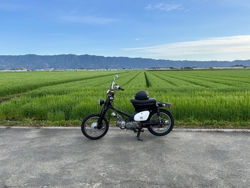リトルカブ