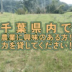 【農作業を通して地域創生】10名募集！サス農おこし隊 草刈…