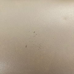 リセットポール 東急スポーツオアシス／ストレッチ・姿勢改善にの画像