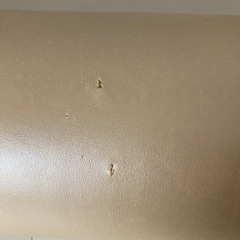 リセットポール 東急スポーツオアシス／ストレッチ・姿勢改善にの画像