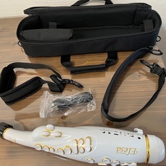 受渡決定☆
電子サックス TAHORNG エレサ10 