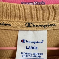 チャンピオン　Tシャツ　L size
の画像