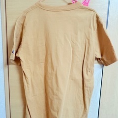 チャンピオン　Tシャツ　L size
の画像