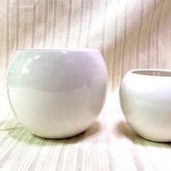 フラワーベース白２点㊻の画像