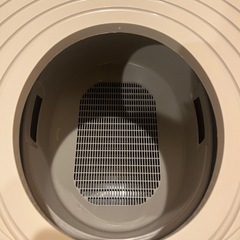 猫 トイレの画像