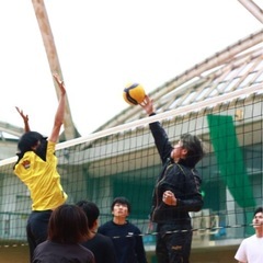 楽しくバレーボールしたいかた大募集！🏐 - スポーツ