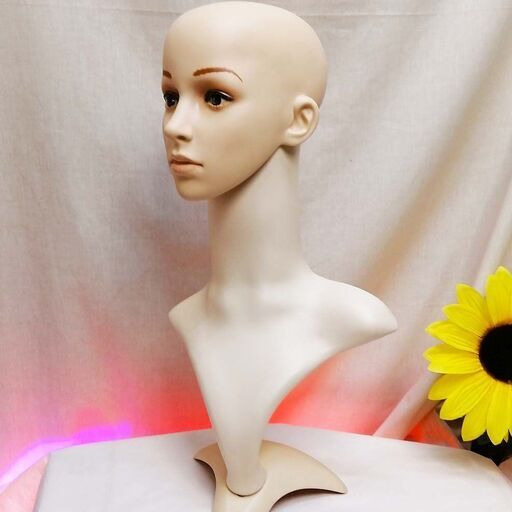 ☆ヘッドマネキン☆女性 (檸檬) 元町のその他の中古あげます