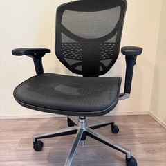 エルゴヒューマン　エンジョイ