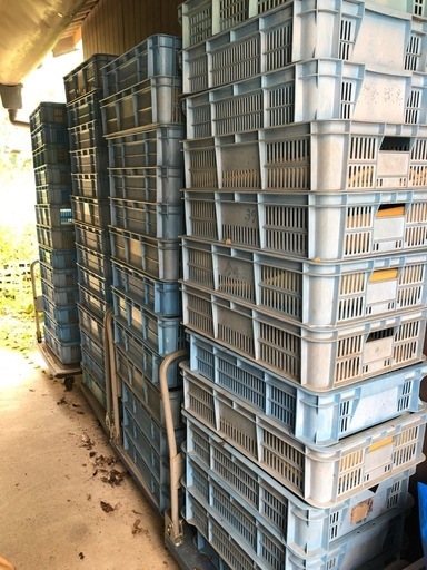 収穫コンテナ90個