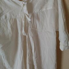 Tシャツ　レディースの画像