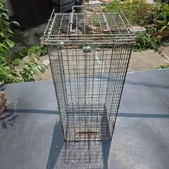 箱罠　ワナ　捕獲器　キャッチャー　狸、ハクビシンなど用の画像