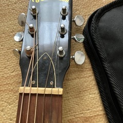 アコースティックギター　フェルナンデスの画像