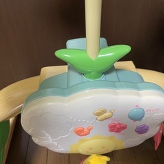 旧型プーメリーの画像