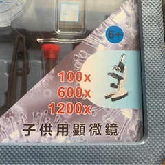 顕微鏡の画像