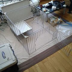 ネコ、イヌ？ゲージの画像