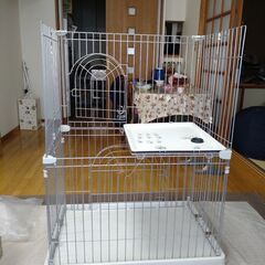 ネコ、イヌ？ゲージの画像