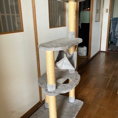 キャットタワーの画像