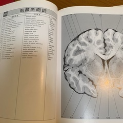 🔴脳神経外科 医学書③の画像
