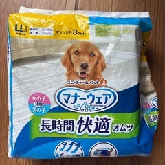 犬用マナーウェア。オムツ