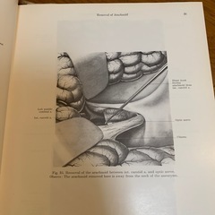 🔴脳神経外科 医学書⑦の画像