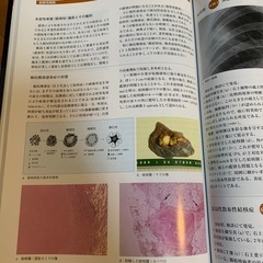 🔴呼吸器 医学書 ⑧DVD付きの画像
