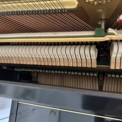 ミキ　MIKI (YAMAHA) 　の画像