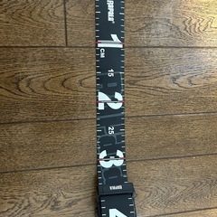 釣り、ロールルーラー、メジャー、ラパラの画像