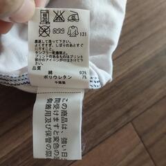 Calvin Klein ホワイト Vネック Tシャツ Mの画像