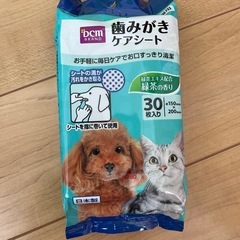 オムツSサイズ＆歯磨きシートの画像