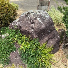 庭石の画像