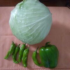 野菜の画像