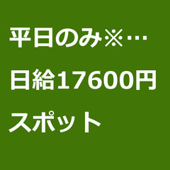 【スポット案件/大募集!/急募!】【日給17600円】神奈川県小...
