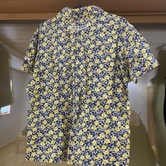 ジャックバニーの画像