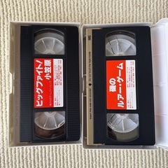 VHS釣りビデオ2本セットの画像