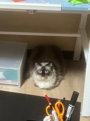 すみ様　　ケージ4点