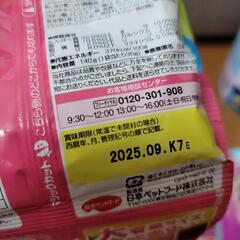 子猫  フードまとめての画像