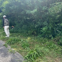 造園👩‍🌾屋さん募集の画像