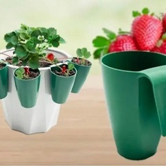 鉢の外に引っ掛ける鉢 イチゴやグリネに 10個セットの画像