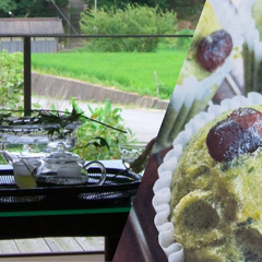 奈良さとやまSUMMERキャンペーン2025！【お茶の葉っぱでフ...