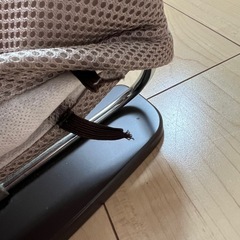 【決定しました】バウンサー　リッチェル　バウンサーの画像