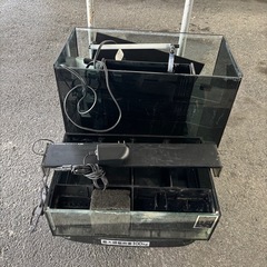 値下げしました‼️GEX グラステリアオーバーフロー水槽の画像